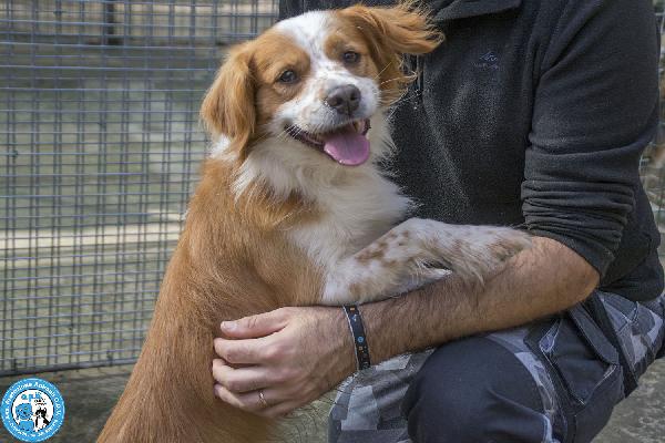 ROKY – Quando perdi tutto, ma non la voglia di amare Foto 2